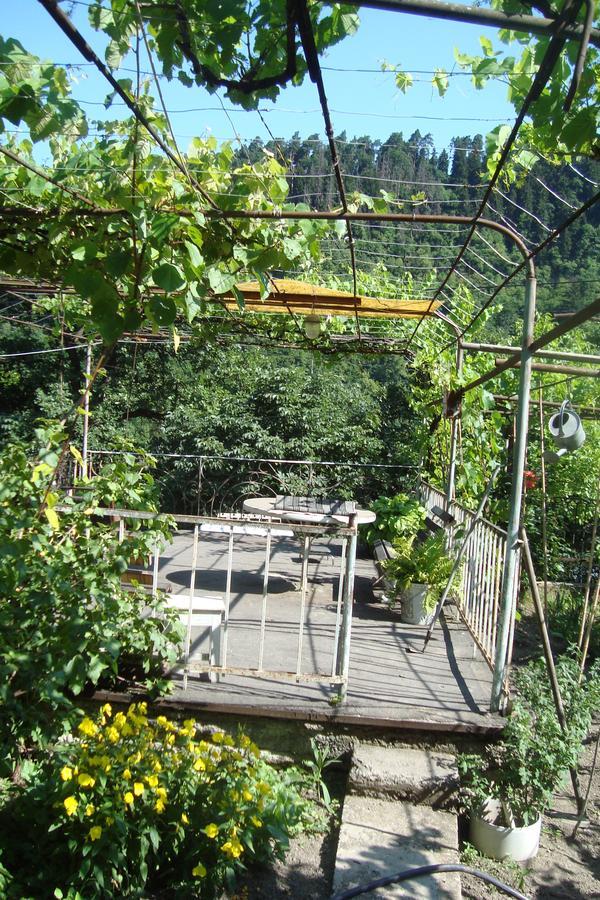 Guesthouse Valeria Borjomi Exterior foto