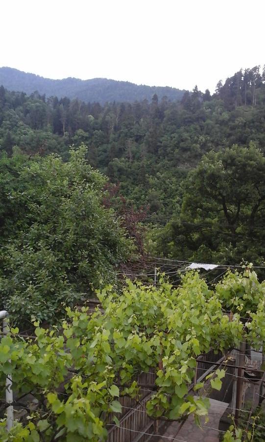 Guesthouse Valeria Borjomi Exterior foto