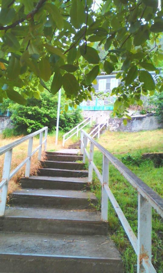 Guesthouse Valeria Borjomi Exterior foto
